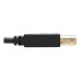 Tripp Lite P782-006-HA HDMI KVM Cable Kit - 4K HDMI, USB 2.0, 3.5 mm Audio (M/M), Black, 6 ft. (1.83 m)
