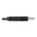 Tripp Lite P782-010-HA HDMI KVM Cable Kit - 4K HDMI, USB 2.0, 3.5 mm Audio (M/M), Black, 10 ft. (3.05 m)
