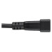 Tripp Lite P032-002-2C13 Splitter Cable, Heavy-Duty, C20 to 2x C13 - 15A, 100-250V, 14 AWG, 2 ft. (0.61 m), Black