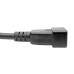 Tripp Lite P036-006-2C19 Power Extension Cord/Splitter, 2 x C19 to C20 Y Splitter - Heavy-Duty, 20A, 250V, 12 AWG, 6 ft. (1.83 m), Black