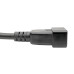 Tripp Lite P036-006-2C19 Power Extension Cord/Splitter, 2 x C19 to C20 Y Splitter - Heavy-Duty, 20A, 250V, 12 AWG, 6 ft. (1.83 m), Black