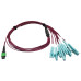 Tripp Lite N846D-01M-16EMG 400G Multimode 50/125 OM4 Plenum Fiber Optic Breakout Cable, 16F MTP/MPO-APC to (x4) LC Duplex (F/M), Magenta, 1 m