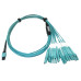 Tripp Lite N846D-01M-24CAQ 400G Multimode 50/125 OM4 Plenum Fiber Optic Breakout Cable, 24F MTP/MPO-PC to (x4) LC Duplex (F/M), Aqua, 1 m
