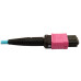 Tripp Lite N846D-01M-24DAQ 400G Multimode 50/125 OM4 Plenum Fiber Optic Cable, 24F MTP/MPO-UPC to 16F MTP/MPO-UPC (F/F), Aqua, 1 m