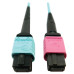 Tripp Lite N846D-01M-24DAQ 400G Multimode 50/125 OM4 Plenum Fiber Optic Cable, 24F MTP/MPO-UPC to 16F MTP/MPO-UPC (F/F), Aqua, 1 m