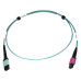 Tripp Lite N846D-01M-24DAQ 400G Multimode 50/125 OM4 Plenum Fiber Optic Cable, 24F MTP/MPO-UPC to 16F MTP/MPO-UPC (F/F), Aqua, 1 m