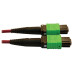 Tripp Lite N846D-03M-16AMG 400G Multimode 50/125 OM4 Plenum-Rated Fiber Optic Cable, 16F MTP/MPO-APC (F/F), Magenta, 3 m