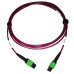 Tripp Lite N846D-03M-16AMG 400G Multimode 50/125 OM4 Plenum-Rated Fiber Optic Cable, 16F MTP/MPO-APC (F/F), Magenta, 3 m