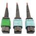 Tripp Lite N846D-03M-16DMG 400G Multimode 50/125 OM4 Plenum Fiber Optic Cable, 16F MTP/MPO-APC to (x2) 12F MTP/MPO-UPC (F/F), Magenta, 3 m