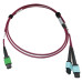 Tripp Lite N846D-03M-16DMG 400G Multimode 50/125 OM4 Plenum Fiber Optic Cable, 16F MTP/MPO-APC to (x2) 12F MTP/MPO-UPC (F/F), Magenta, 3 m