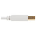 Tripp Lite U022AB-010-WH Safe-IT USB 2.0 A to B Antibacterial Cable (M/M), White, 10 ft. (3.05 m)