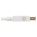 Tripp Lite U024AB-003-WH Safe-IT USB 2.0 Antibacterial Extension Cable (A M/F), USB 2.0, White, 3 ft. (0.91 m)