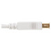 Tripp Lite U024AB-006-WH Safe-IT USB 2.0 Antibacterial Extension Cable (A M/F), USB 2.0, White, 6 ft. (1.83 m)