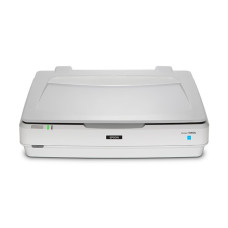 Epson Expression 13000XL Flatbed scanner 2400 x 4800 DPI A3 White