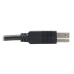 Tripp Lite U328F-30M USB 3.2 Gen 1 Plenum-Rated Fiber Active Optical Cable (AOC) - 5 Gbps, (A to B M/M), Black, 30 m