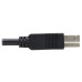 Tripp Lite U328F-30M USB 3.2 Gen 1 Plenum-Rated Fiber Active Optical Cable (AOC) - 5 Gbps, (A to B M/M), Black, 30 m