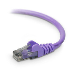 Belkin CAT6 Snagless 2 ft networking cable Purple 0.61 m