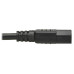 Tripp Lite Safe-IT Antibacterial Hospital-Grade Power Cord, 5-15P to C13 - Green Dot, 13A, 125V, 16 AWG, Black, 25 ft. (7.6 m)