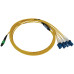 Tripp Lite N390X-03M-8L-AP 400G Singlemode 9/125 OS2 Switchable Fiber Optic Cable (12F MTP/MPO-APC to 4x Duplex LC/UPC F/M), LSZH, Yellow, 3 m (9.8 ft.)