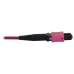 Tripp Lite N845X-05M-8L-MG 40/100G Multimode 50/125 OM4 Fiber Optic Cable (12F MTP/MPO-PC to 4x Duplex LC/PC F/M), LSZH, Magenta, 5 m (16.4 ft.) Tripp Lite N845X-05M-8L-MG 40/100G Multimode 50/125 OM4 Fiber Optic Cable (12F MTP/MPO-PC to 4x Duplex LC/PC F/M), LSZH, Magenta, 5 m (16.4 ft.)