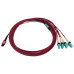 Tripp Lite N845X-05M-8L-MG 40/100G Multimode 50/125 OM4 Fiber Optic Cable (12F MTP/MPO-PC to 4x Duplex LC/PC F/M), LSZH, Magenta, 5 m (16.4 ft.) Tripp Lite N845X-05M-8L-MG 40/100G Multimode 50/125 OM4 Fiber Optic Cable (12F MTP/MPO-PC to 4x Duplex LC/PC F/M), LSZH, Magenta, 5 m (16.4 ft.)
