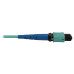 Tripp Lite N846B-20M-24-P 40/100/400G Multimode 50/125 OM3 Fiber Optic Cable (24F MTP/MPO-PC F/F), LSZH, Aqua, 20 m (65.6 ft.) Tripp Lite N846B-20M-24-P 40/100/400G Multimode 50/125 OM3 Fiber Optic Cable (24F MTP/MPO-PC F/F), LSZH, Aqua, 20 m (65.6 ft.)
