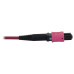 Tripp Lite N858B-30M-3X8MG 40/100/400G Multimode 50/125 OM4 Fiber Optic Cable (3x8F MTP/MPO-PC F/F), LSZH, Magenta, 30 m (98.4 ft.)
