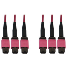 Tripp Lite N858B-30M-3X8MG 40/100/400G Multimode 50/125 OM4 Fiber Optic Cable (3x8F MTP/MPO-PC F/F), LSZH, Magenta, 30 m (98.4 ft.)