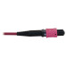 Tripp Lite N858B-38M-3X8MG 40/100G Multimode 50/125 OM4 Fiber Optic Cable (3x8F MTP/MPO-PC F/F), LSZH, Magenta, 38 m (124.7 ft.)