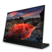 Lenovo ThinkVision M14t computer monitor 35.6 cm (14