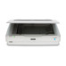 Epson Expression 13000XL Flatbed scanner 2400 x 4800 DPI A3 White