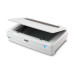 Epson Expression 13000XL Flatbed scanner 2400 x 4800 DPI A3 White