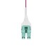 StarTech.com 10m (33ft) LC to LC (UPC) OM4 Multimode Fiber Optic Cable, Erika Violet, 50/125µm, 40G/100G, LOMMF/VCSEL, Uniboot Fiber Jumper Cord, OFNR Riser Rated