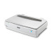 Epson Expression 13000XL Flatbed scanner 2400 x 4800 DPI A3 White