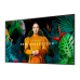 Samsung QM43C Digital signage flat panel 109.2 cm (43