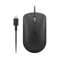 Lenovo GY51D20875 mouse Ambidextrous USB Type-C Optical 2400 DPI